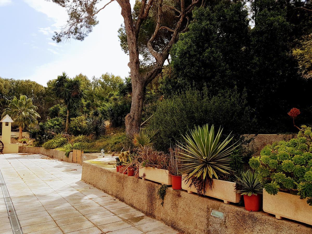 Villa El Collado à Cullera Extérieur photo